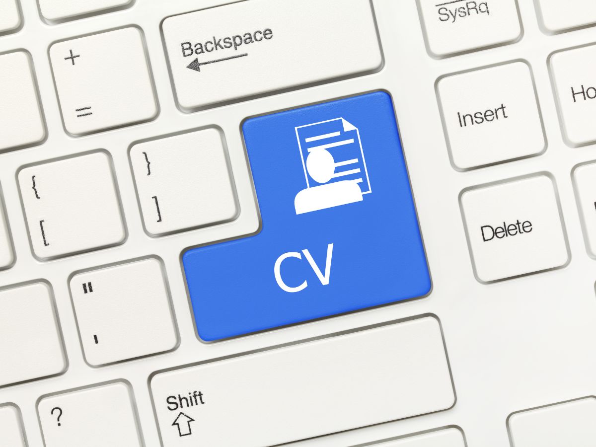 botón especial para generar un cv